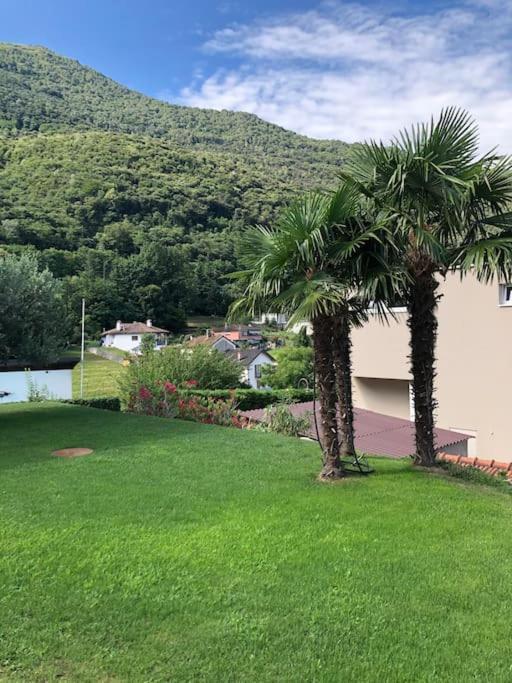 Sinergia E Benessere SantʼAntonio Esterno foto